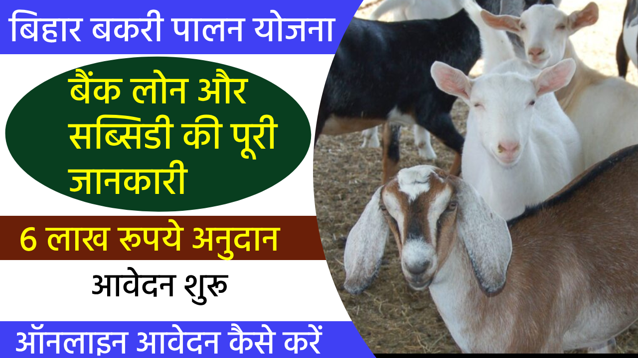 Bihar Bakri Farm Yojana